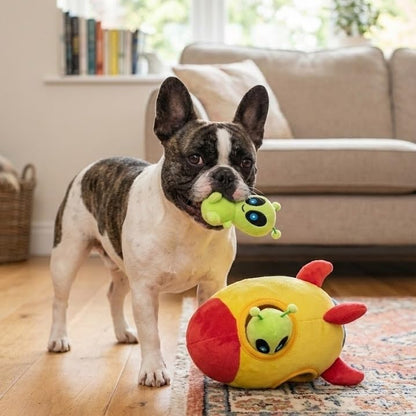 Interactive Spaceship Hide & Seek Squeaky Dog Puzzle Toy