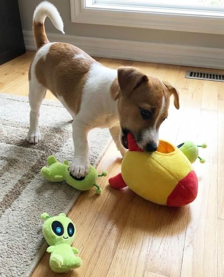 Interactive Spaceship Hide &amp; Seek Squeaky Dog Puzzle Toy