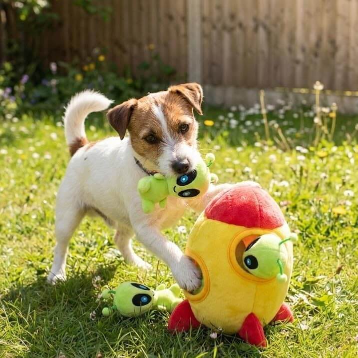 Interactive Spaceship Hide &amp; Seek Squeaky Dog Puzzle Toy