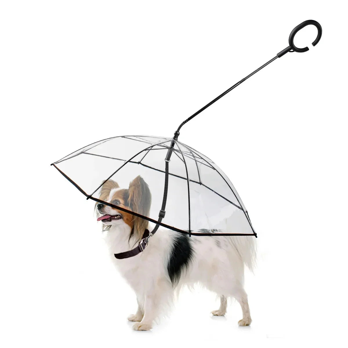 transparent dog umbrella &amp; Dog Umbrella